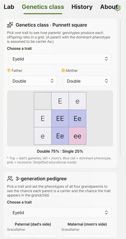 Genetics class tab Punnett square: E and e grid with EE, Ee, Ee, ee and Double 75% Single 25%